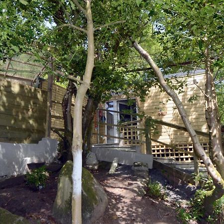 Tawny Lodge Westport Dış mekan fotoğraf