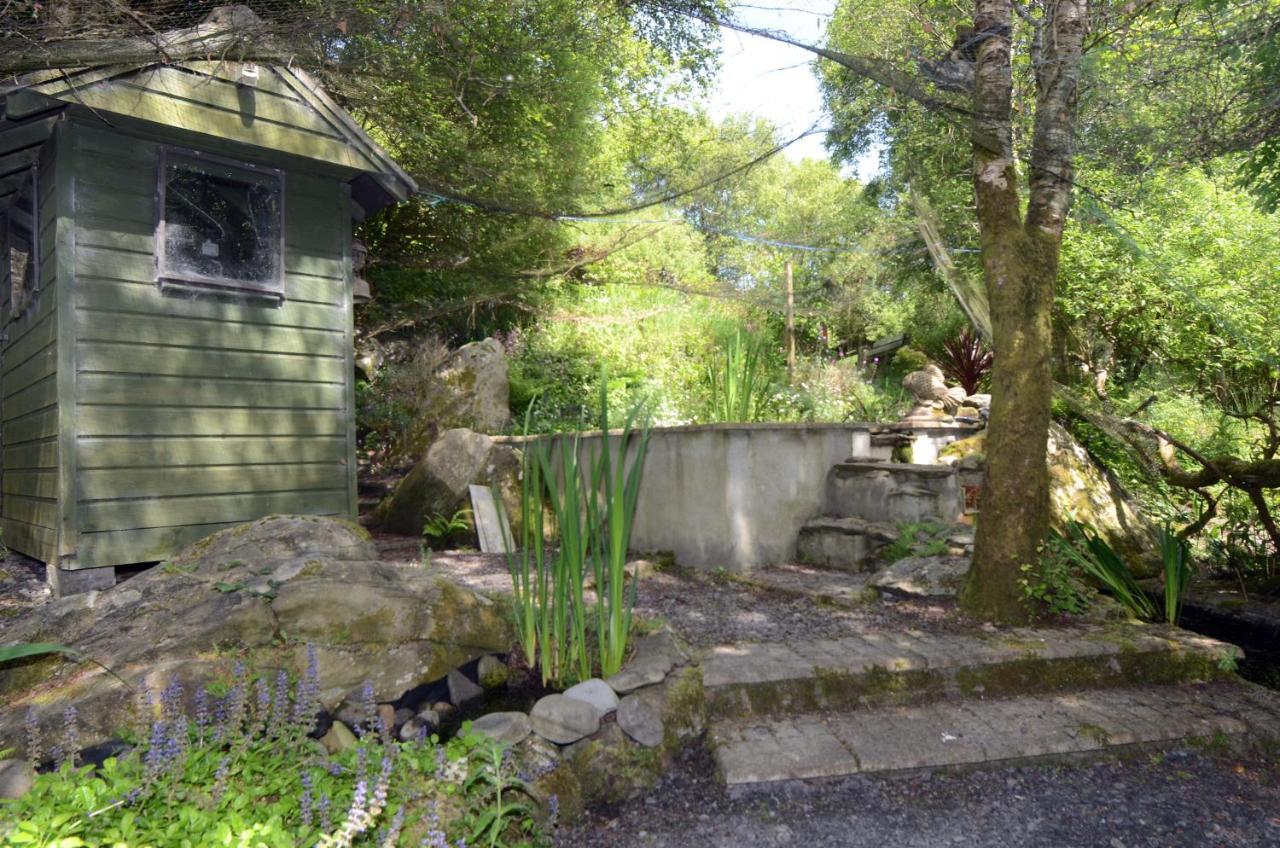 Tawny Lodge Westport Dış mekan fotoğraf
