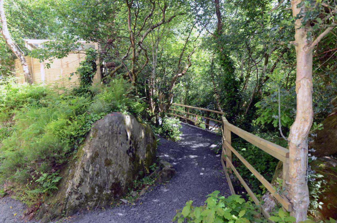 Tawny Lodge Westport Dış mekan fotoğraf