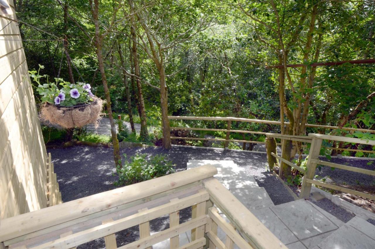 Tawny Lodge Westport Dış mekan fotoğraf