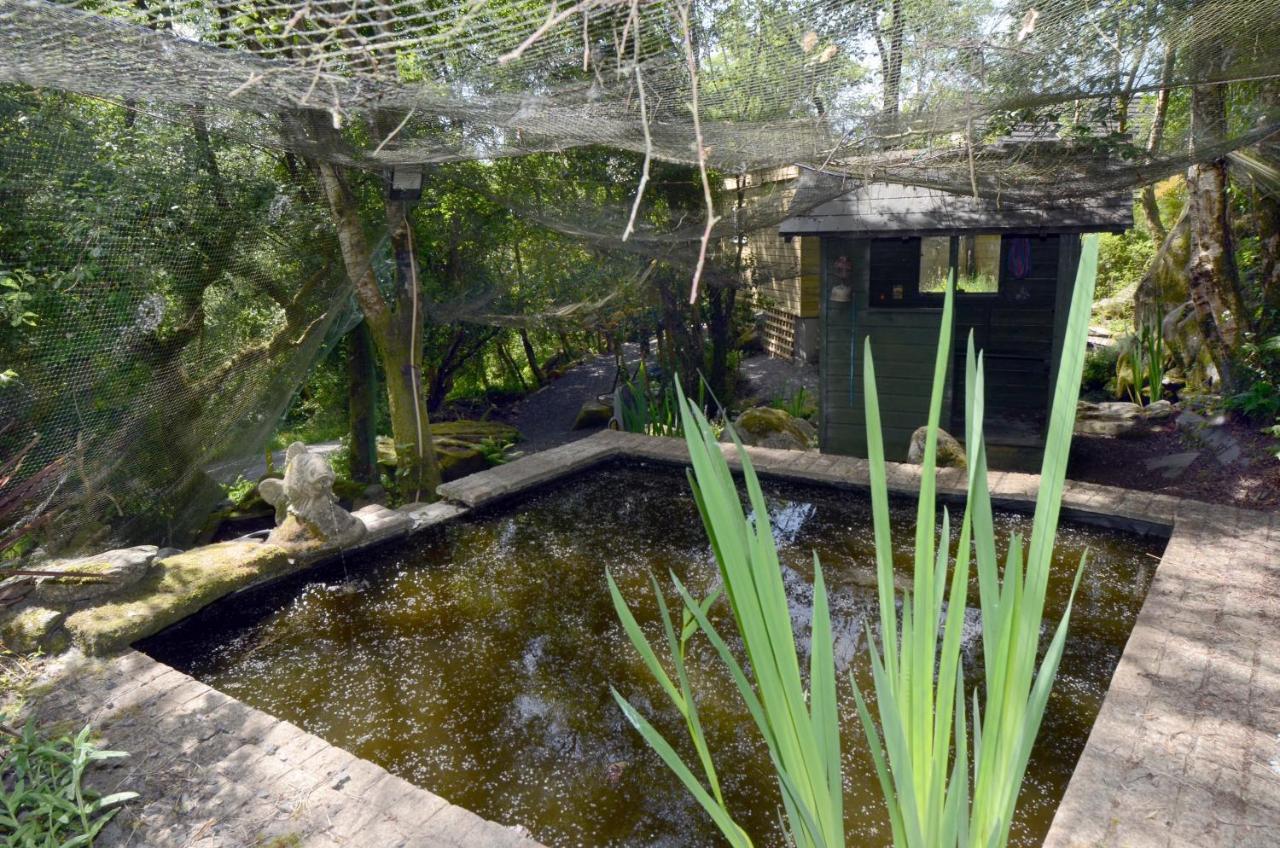 Tawny Lodge Westport Dış mekan fotoğraf