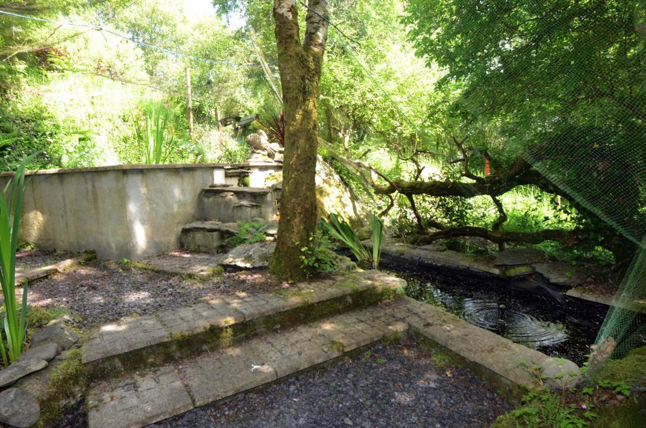 Tawny Lodge Westport Dış mekan fotoğraf