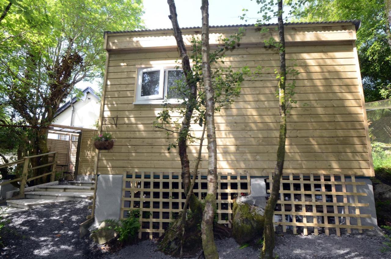 Tawny Lodge Westport Dış mekan fotoğraf